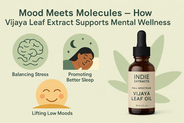 Mood Meets Molecules – How Vijaya Leaf Extract Supports Mental Wellness