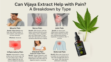 Can Vijaya Extract Help with Pain? A Breakdown by Type